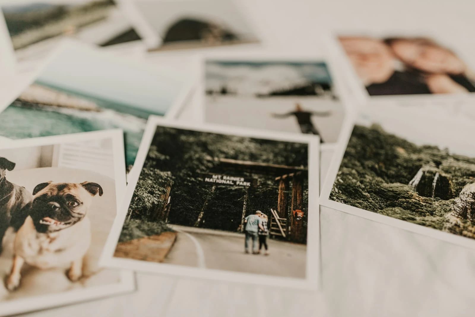Several printed portrait photos spread on white fabric