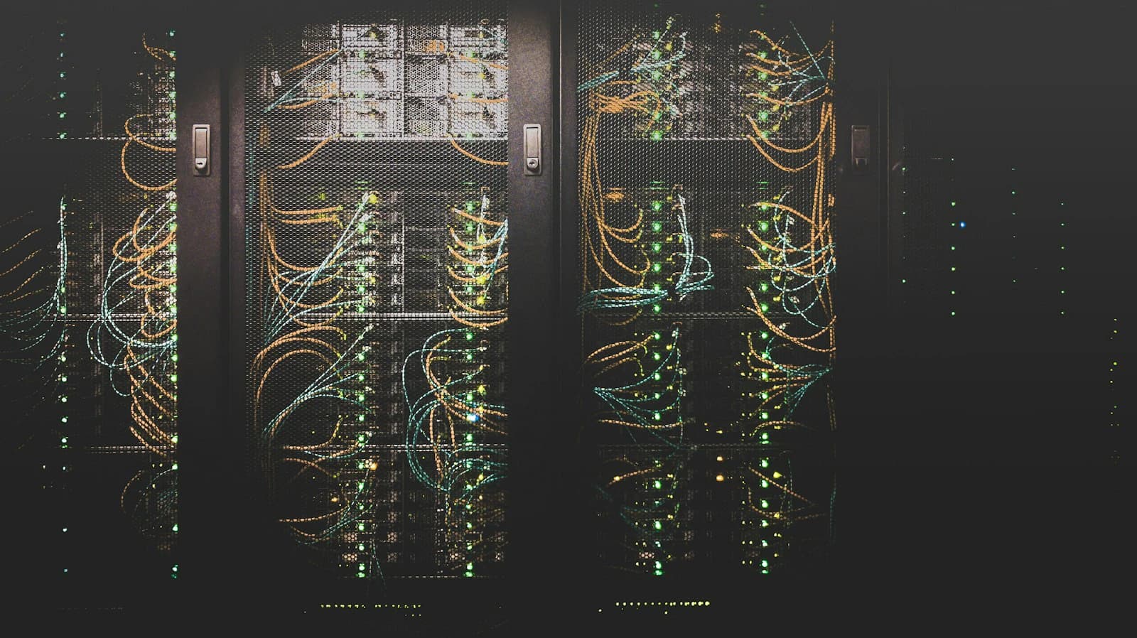 Network cables plugged into a switch
